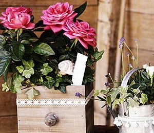 offrir des fleurs signification